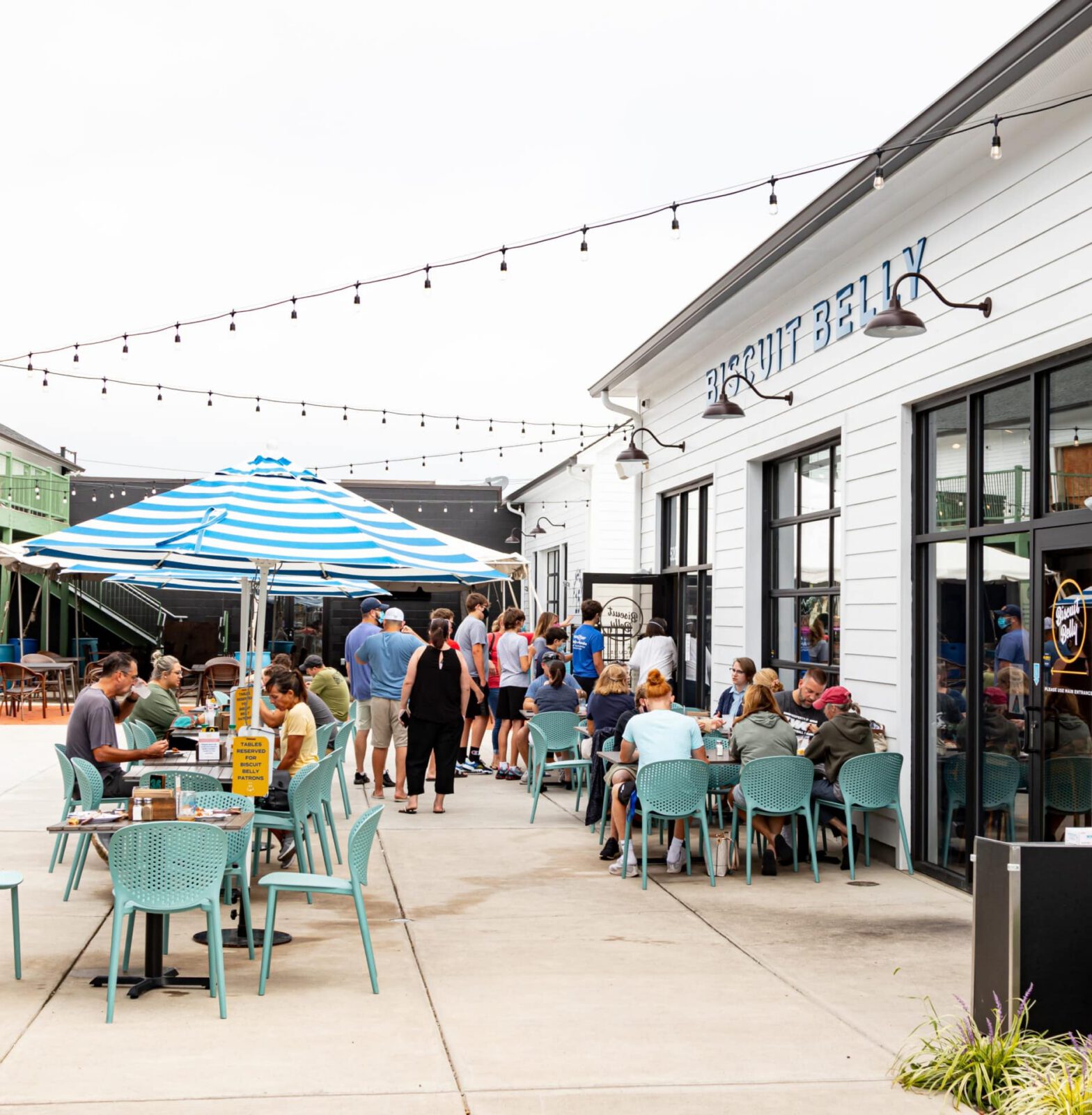 A Closeup Look at Our Client: Biscuit Belly